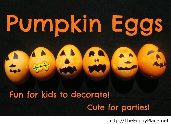 Funny pumpkin eggs