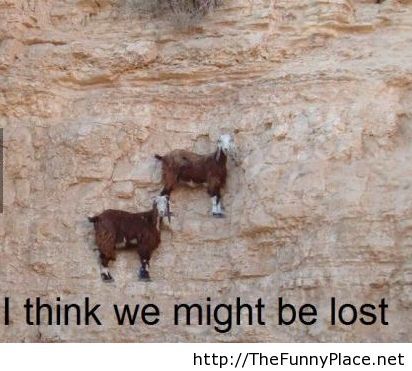lost – TheFunnyPlace