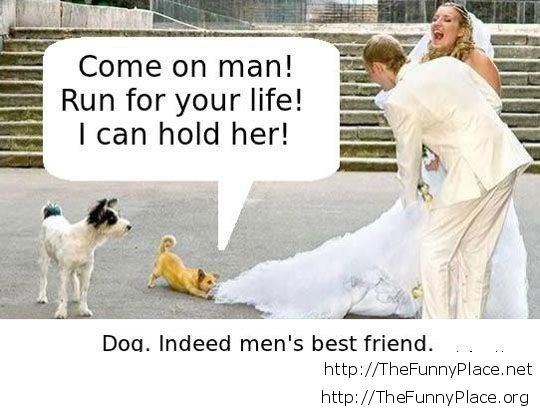 dog-mens-best-friend-funny-wedding-picture-run-hold-her