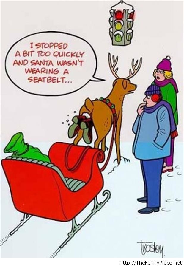 funny-christmas-pictures-14