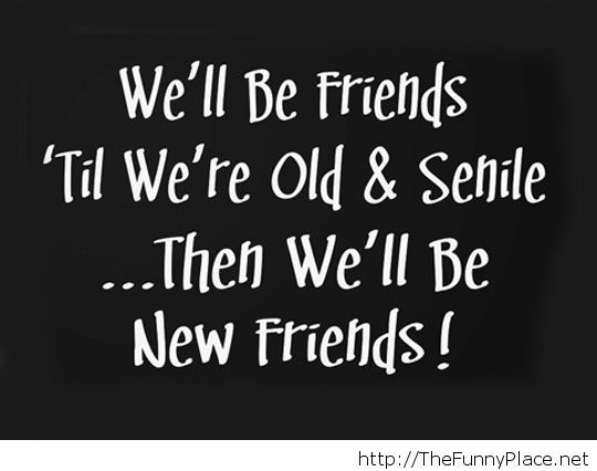 Funny friendship quote