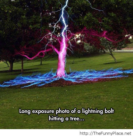 Lightning hitting a tree
