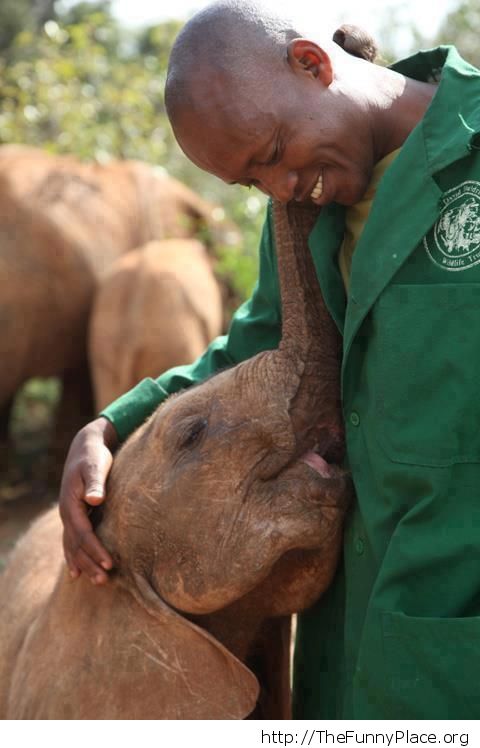 Man with baby elephant