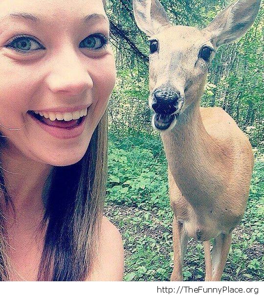 Deer selfie