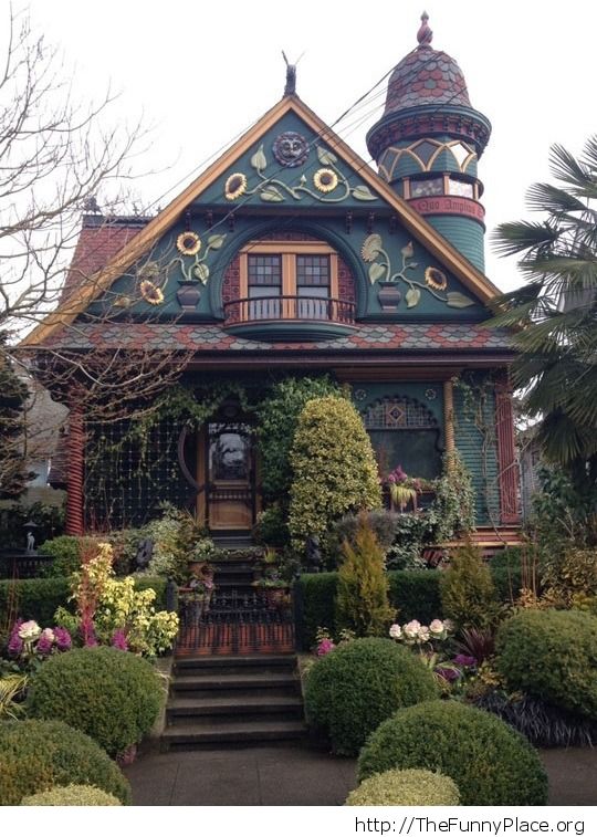 Magical house