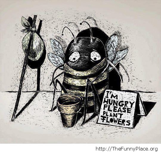 Hungry bee