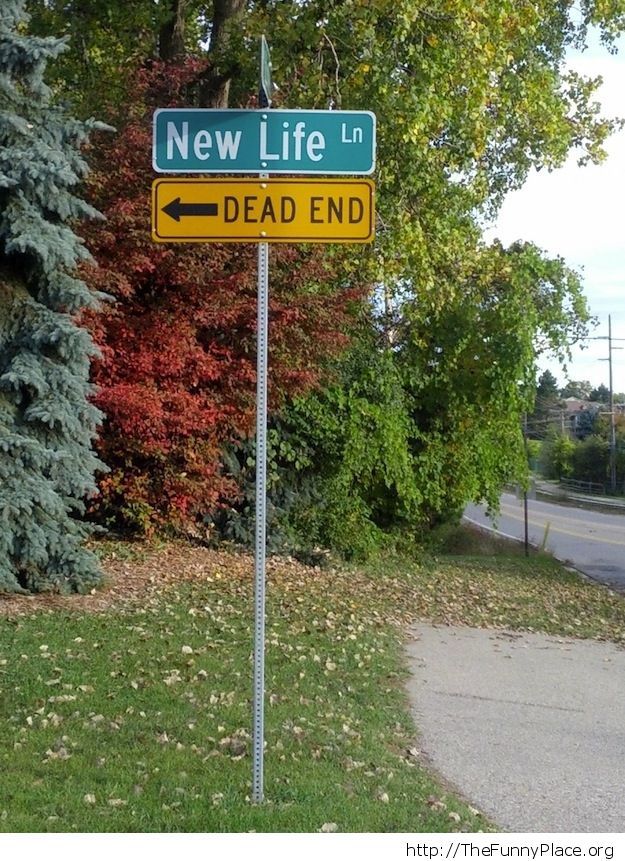 New life or dead end