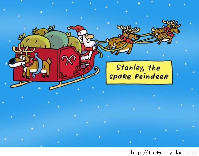 The spare reindeer